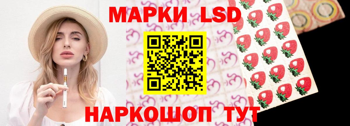 А ПВП Донецк