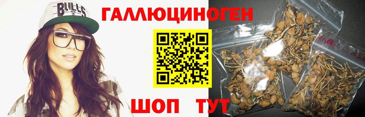 Донецк  Псилоцибиновые грибы Cubensis  Псилоцибиновые грибы ЛСД  Вход с VPN 